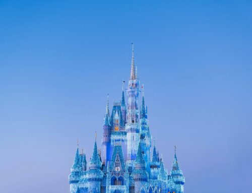 The Princess Party Show: Il Concerto di Natale del Centro Gazza Ladra